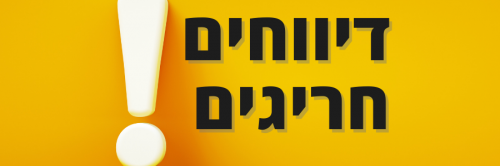 תצוגת דיווחים חריגים בדוח נוכחות לעובד